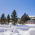 Mammoth Green # 105